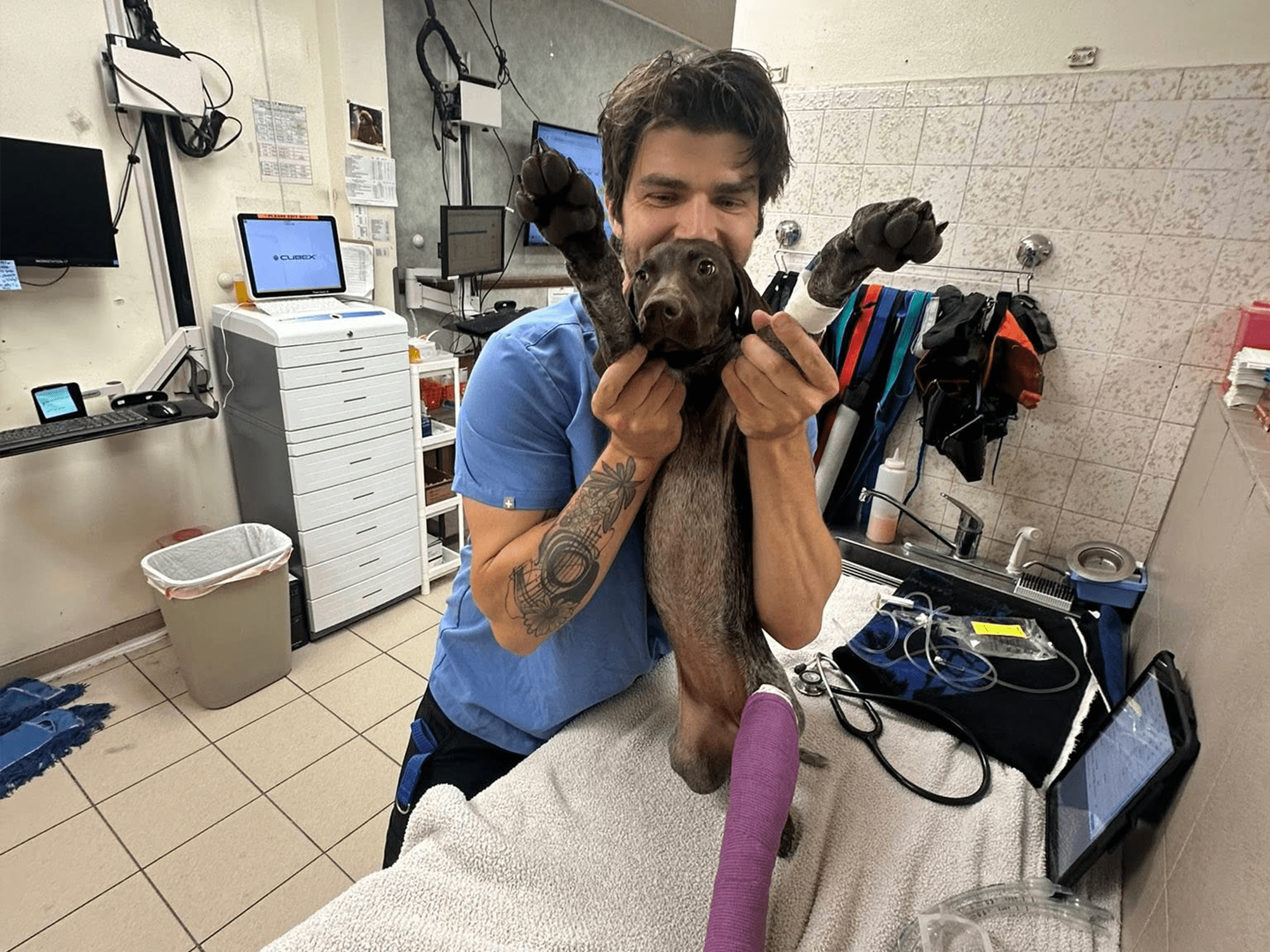 emergency vet reno