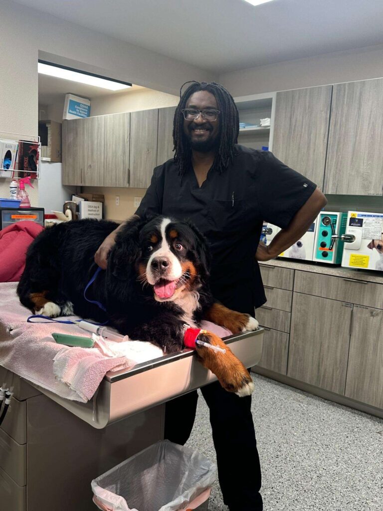 Veterinarian with dog at a Reno pet hospital providing compassionate care